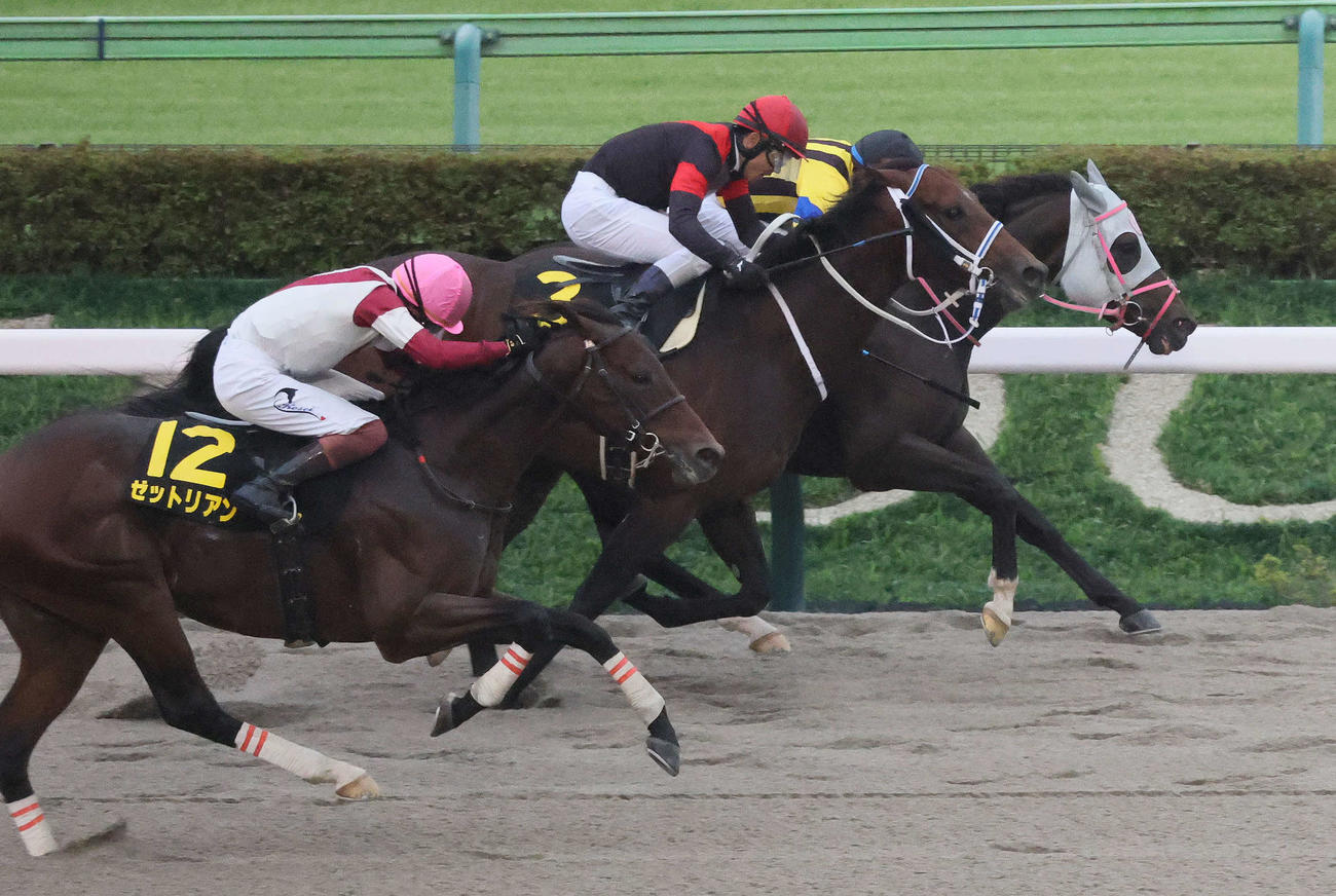 東京11R、ブラジルCを制したアピーリングルックと大野騎手（奥）（撮影・丹羽敏通）