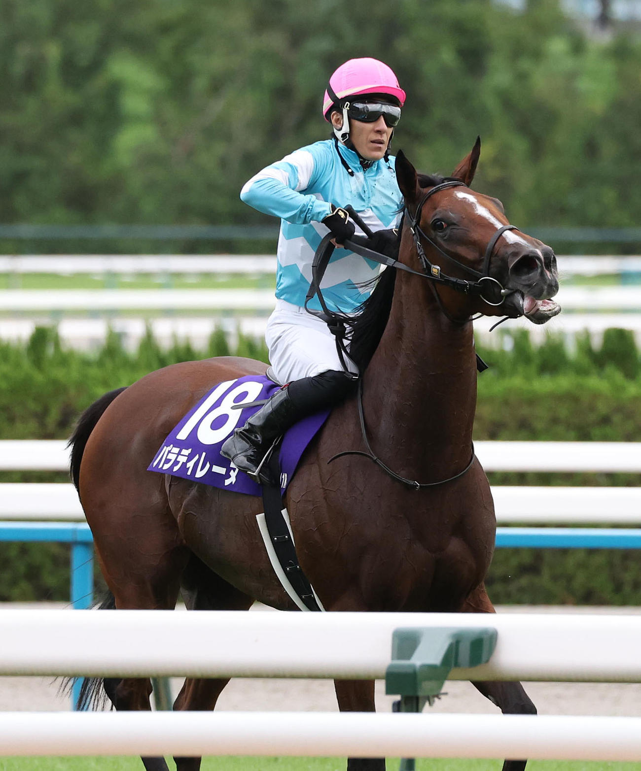 京都11R秋華賞、3着に敗れたパラディレーヌ（撮影・白石智彦）