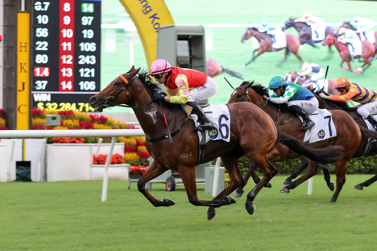 シャティントロフィーを制したマイウィッシュ（C）The　Hong　Kong　Jockey　Club