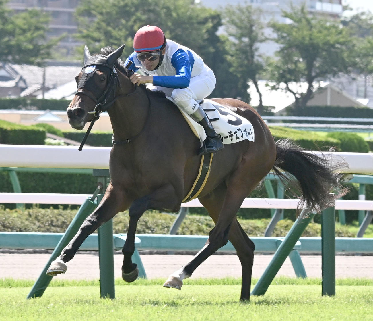 9月、2歳牝馬限定の未勝利戦を制したルーチェフィオーレ