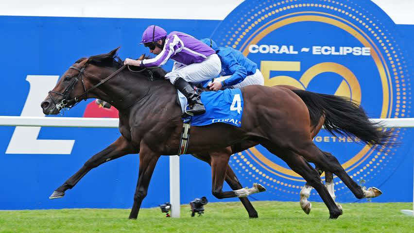 現役引退と種牡馬入りが決まったドラクロワ　（C）Coolmore