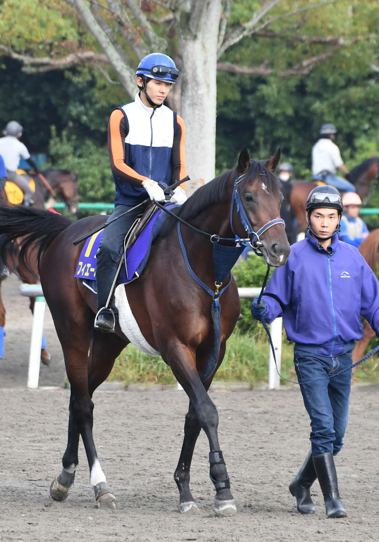 嶋田純次騎手を背に、馬場入りするフィエールマン（2018年10月17日撮影）