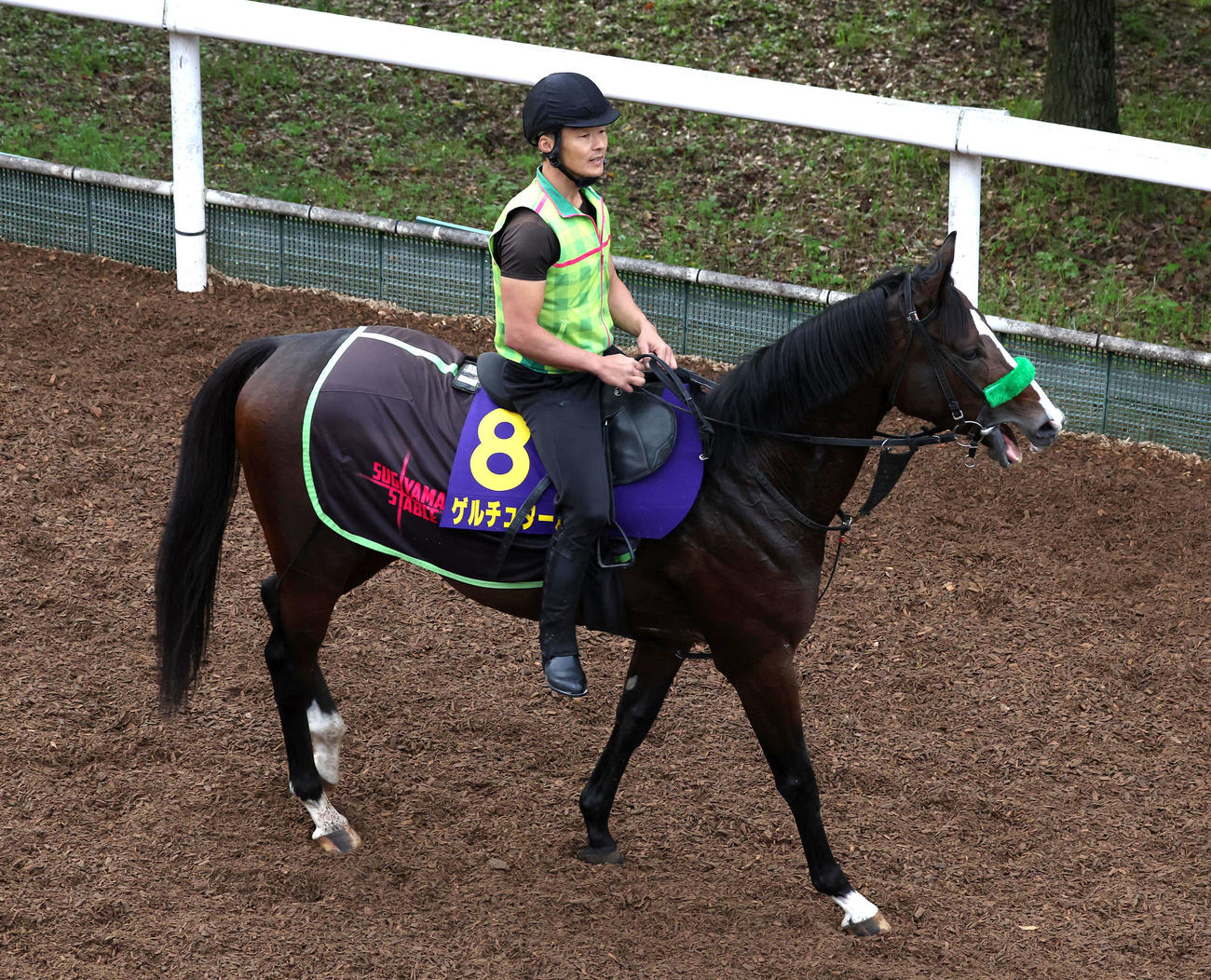 逍遙馬道で運動するゲルチュタール（撮影・白石智彦）