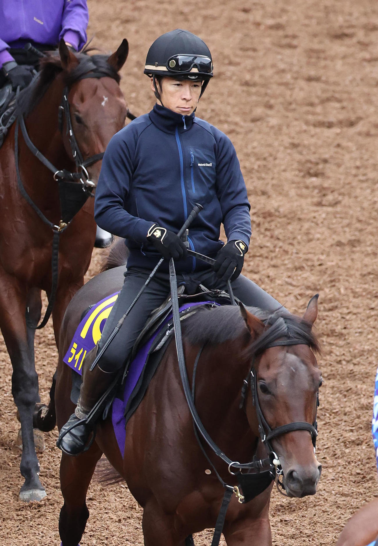 菊花賞】ライトトラック、重賞経験し上積み十分 大江助手「1回使って