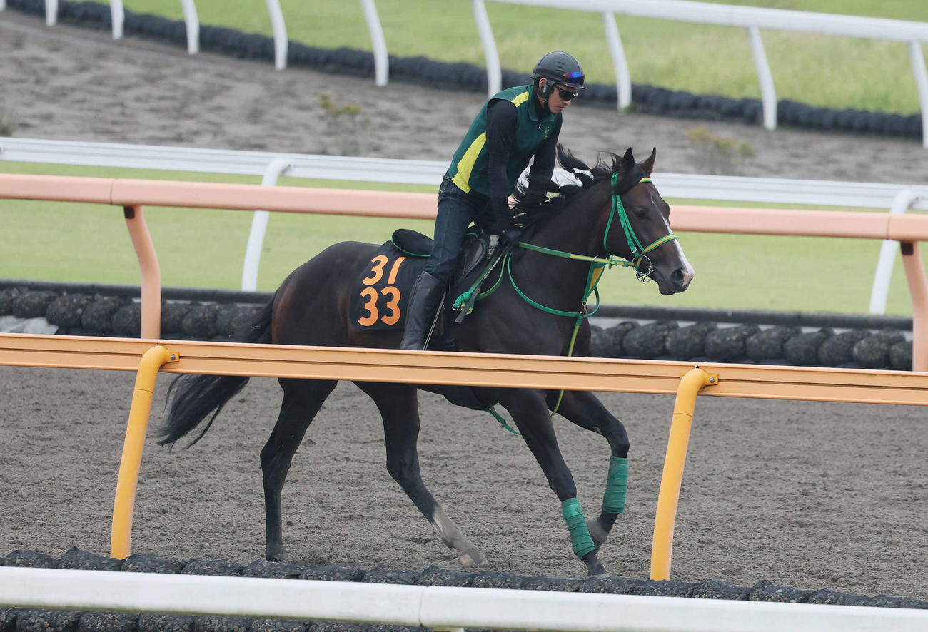 15日、ダートコースで運動するオルフセン