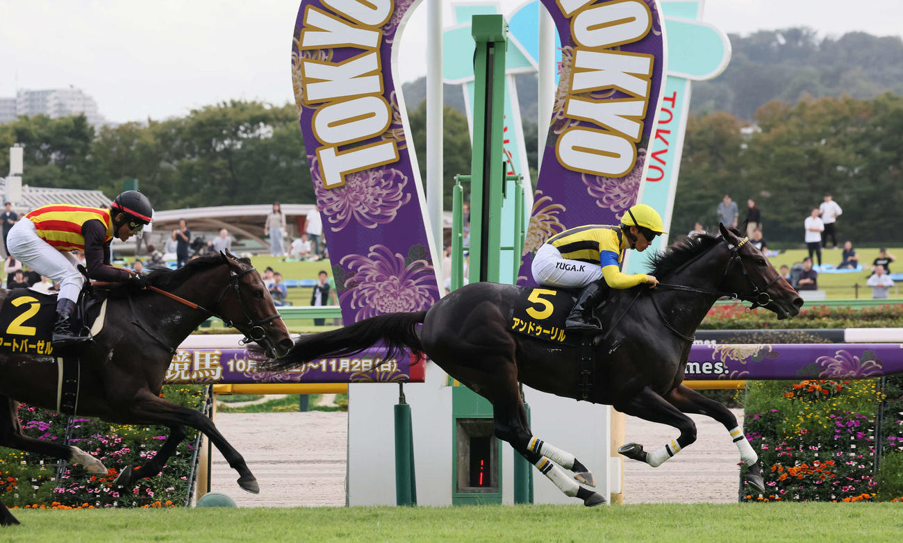 アイビーSを制したアンドゥーリル
