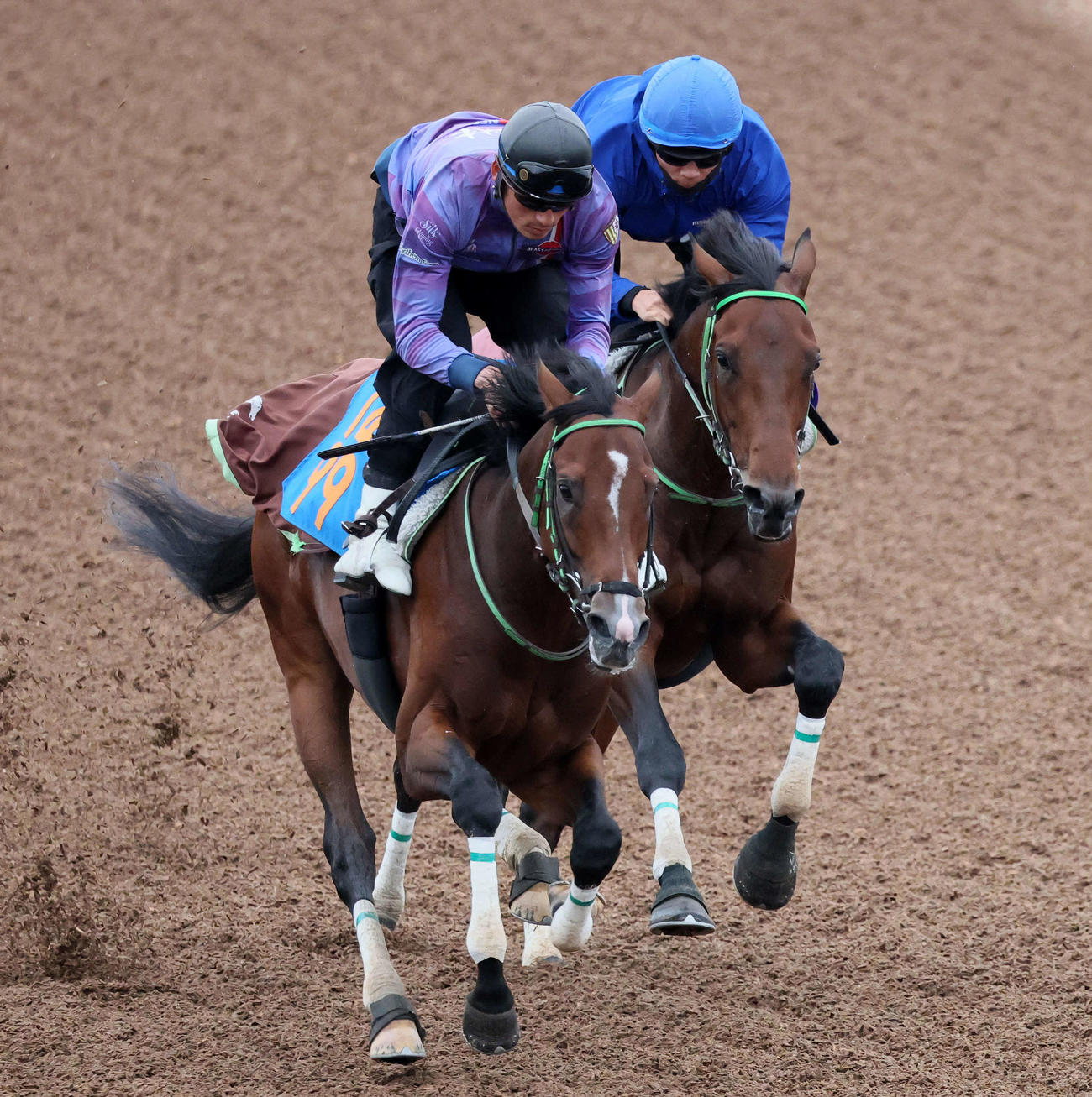 レッドバンデ（右）は佐々木騎手を背に美浦ウッドでピースワンデュックと併せて追い切られた（撮影・丹羽敏通）