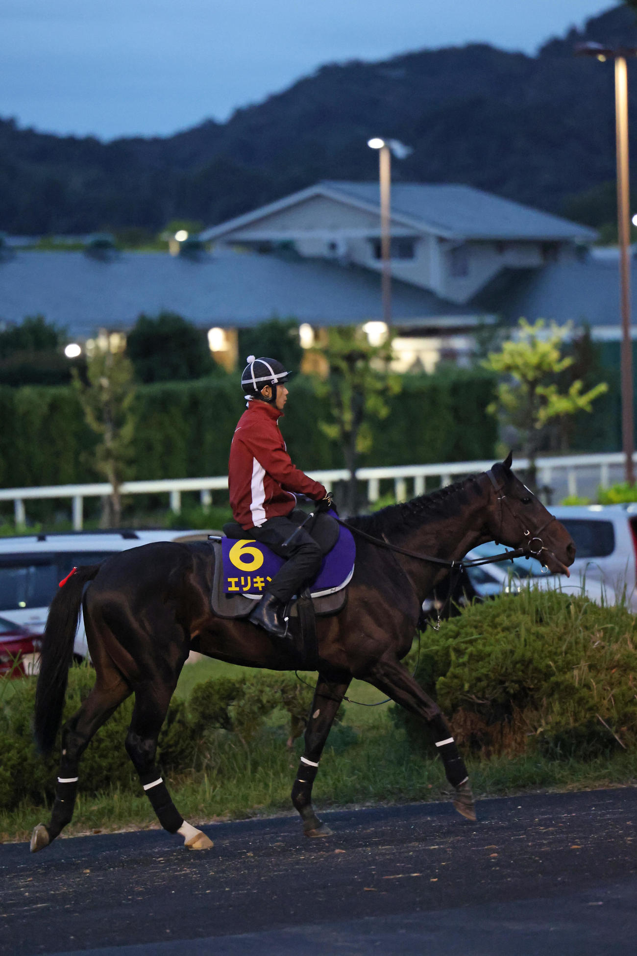 角馬場へ向かうエリキング