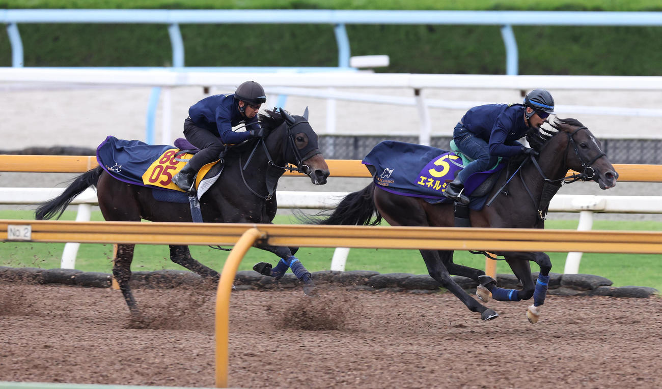 Cウッドをサルサロッサ（左）と併せ馬で追い切るエネルジコ（撮影・白石智彦）