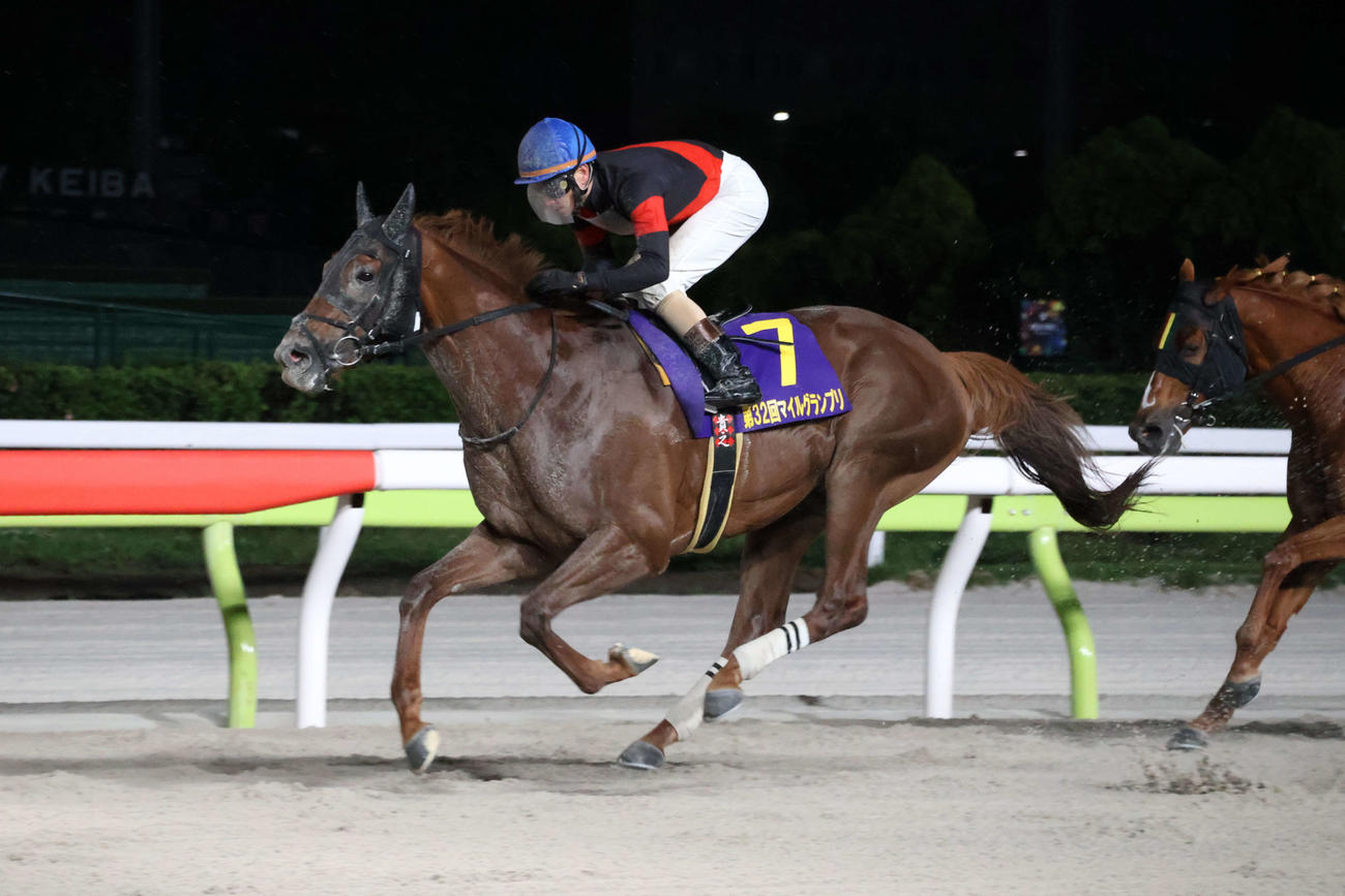 直線で抜け出しマイルグランプリを制したゴールドレガシーと矢野貴之騎手