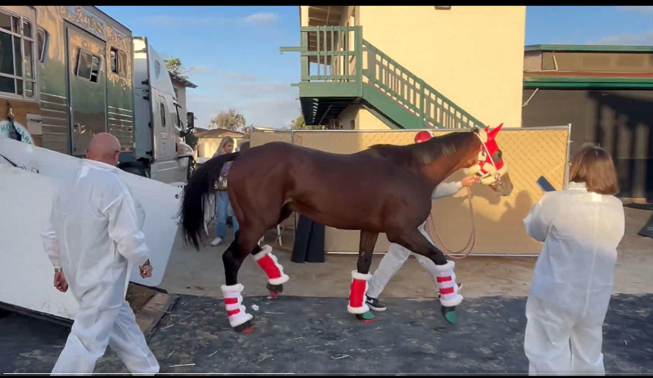 BCが行われるデルマー競馬場に到着したフォーエバーヤング（JRA World RacingのXより）