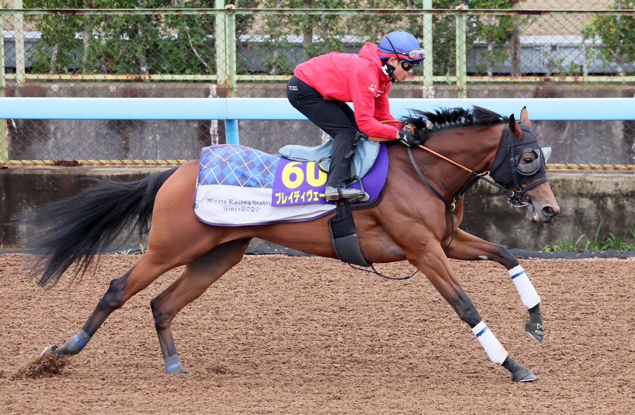 ブレイディヴェーグは戸崎騎手を背に美浦ウッドで追い切られた（撮影・丹羽敏通）