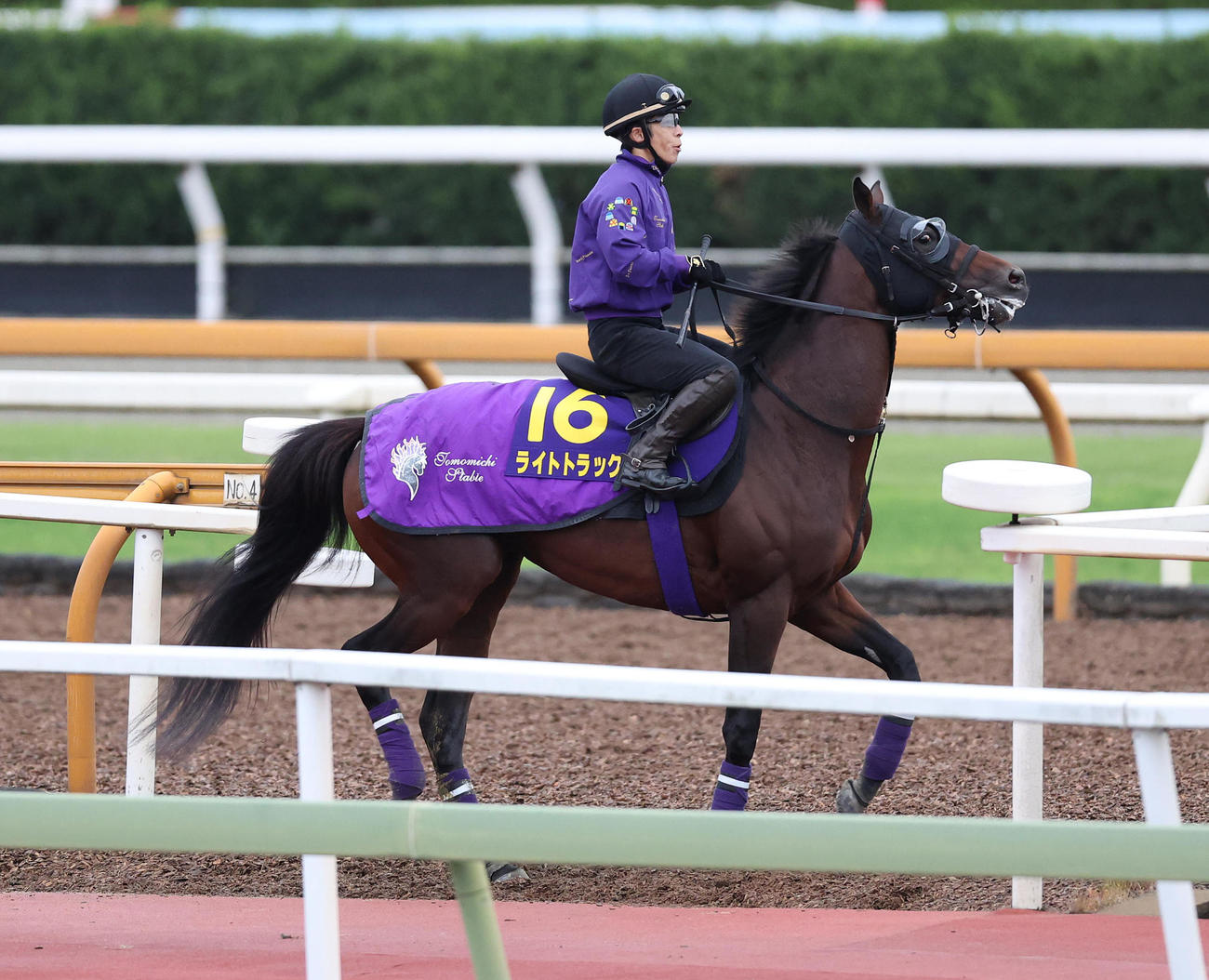 馬場入りするライトトラック（撮影・白石智彦）