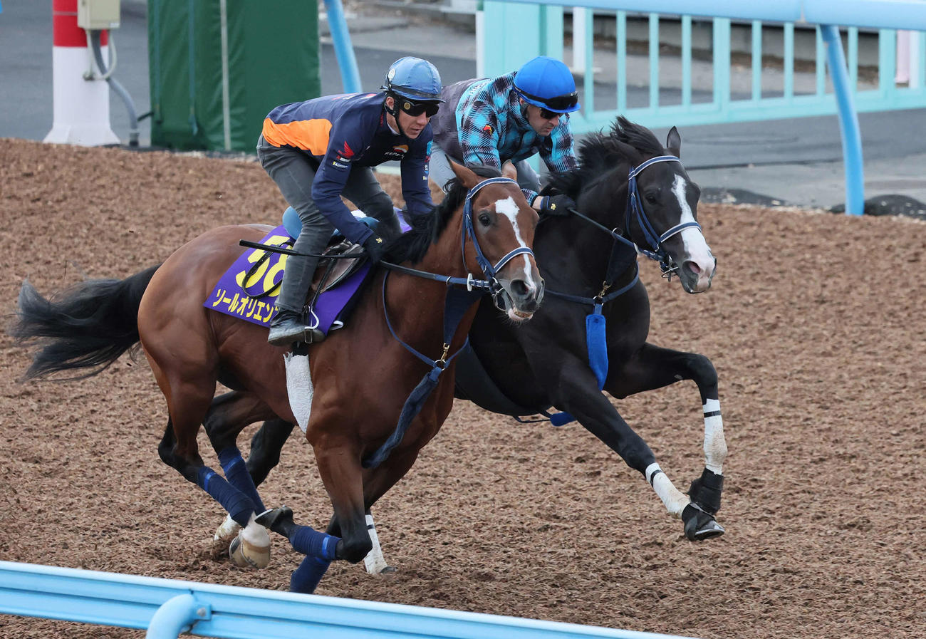 マスカレードボール（右）はルメール騎手を背に美浦ウッドで丹内騎手騎乗のソールオリエンスと併せて追い切られた（撮影・丹羽敏通）