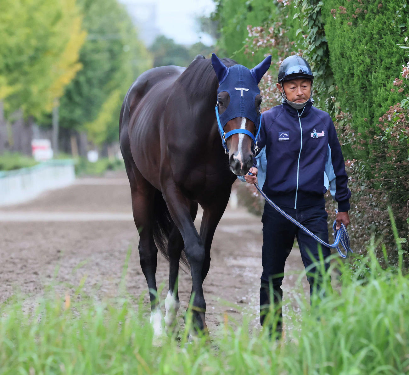 引き運動で調整するレイヤードレッド（撮影・丹羽敏通）