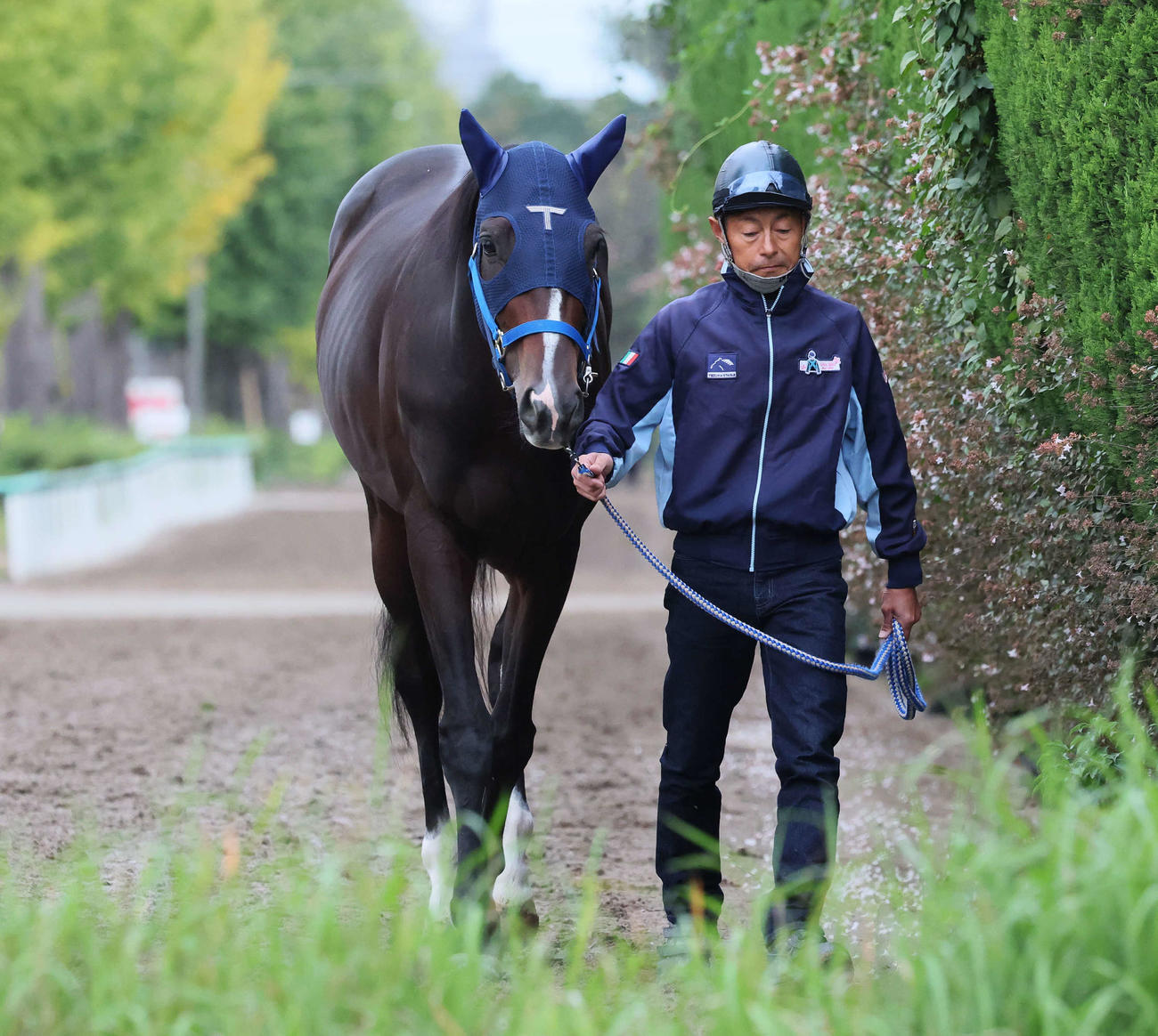引き運動で調整するレイヤードレッド（撮影・丹羽敏通）