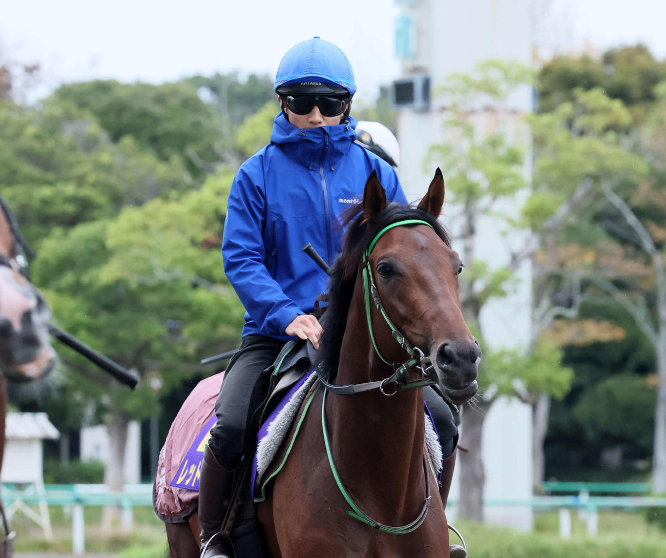 レッドバンデと佐々木騎手（2025年10月22日撮影）