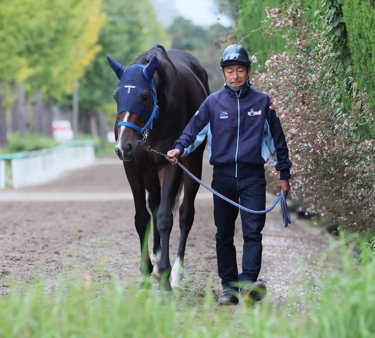 引き運動で調整するレイヤードレッド（撮影・丹羽敏通）
