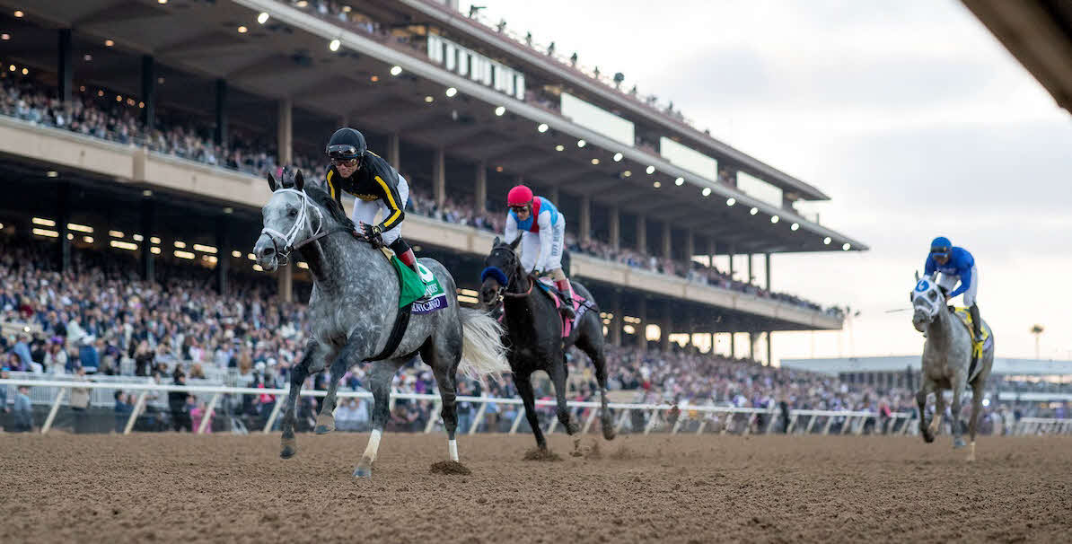 21年BCクラシックを制したニックスゴー（C）Eclipse Sportswire／Breeders’Cup Photos