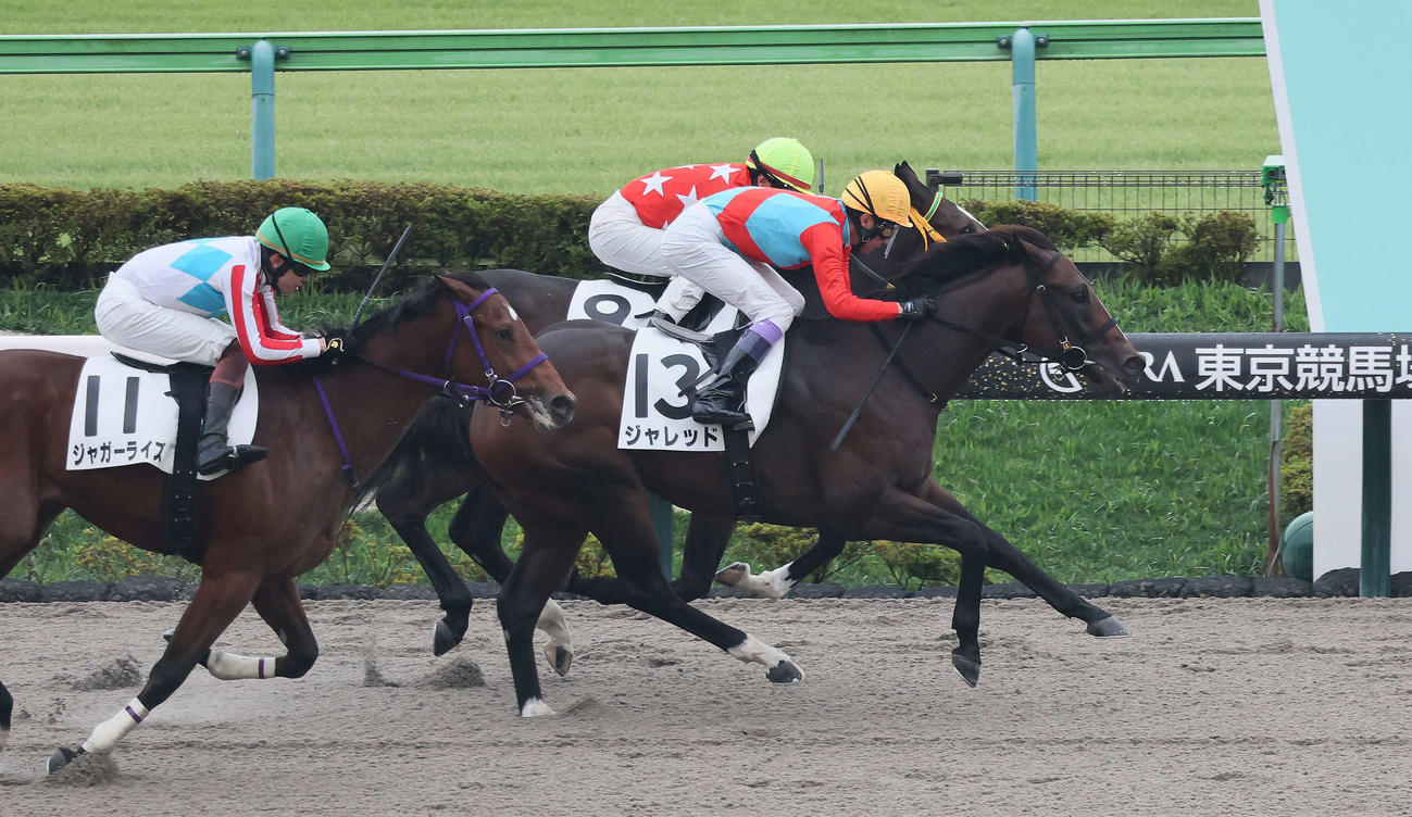 東京4R、2歳新馬戦を制したジャレッドと武豊騎手（手前）（撮影・丹羽敏通）