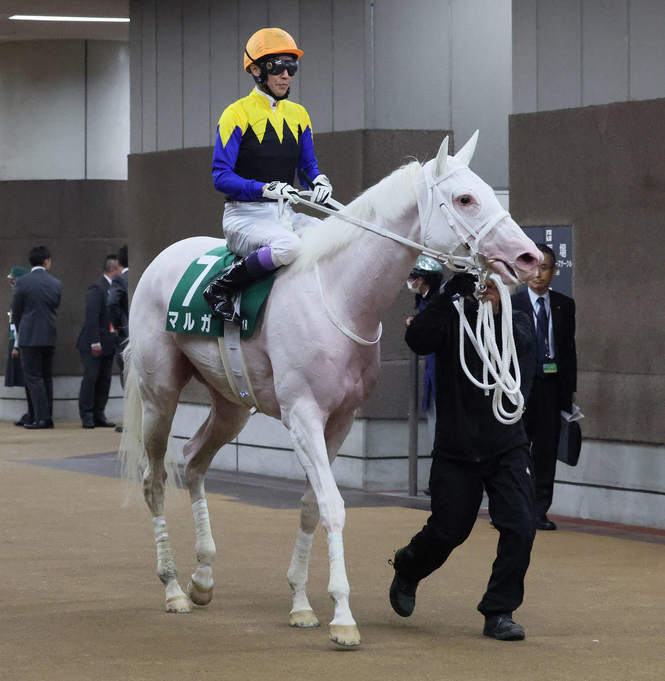 アルテミスSで1番人気に応えられず5着に敗れたマルガと武豊騎手（撮影・丹羽敏通）