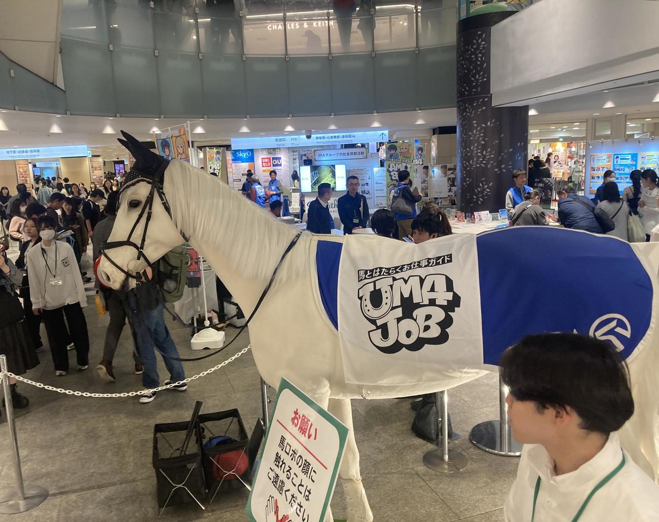 多くの人々でにぎわった「UMAJOBフェス大阪」（撮影・太田尚樹）
