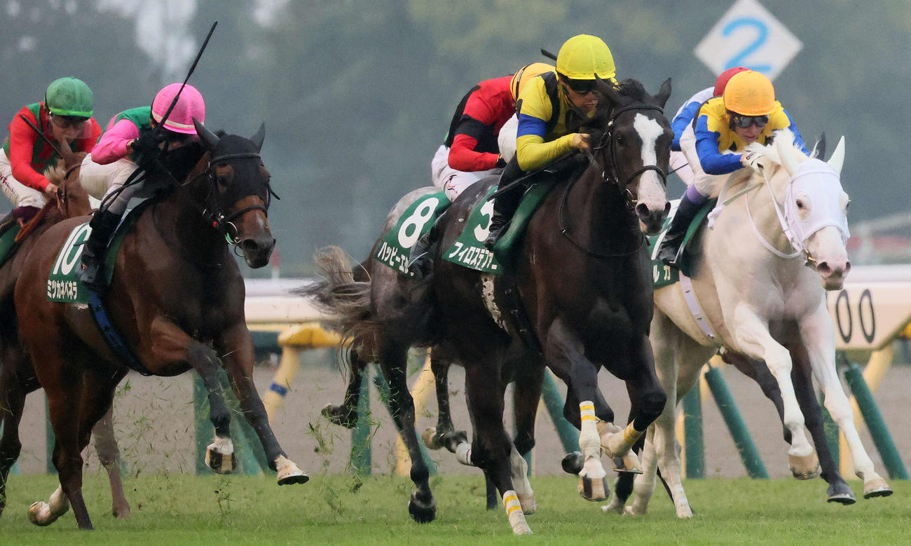 東京11R、アルテミスSを制したフィロステファニ（中央）。左が2着ミツカネベネラ（撮影・丹羽敏通）