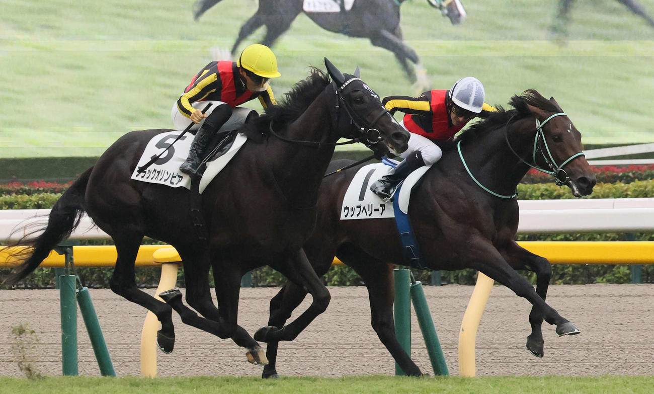 東京5R、2歳新馬戦を制したウップヘリーアとルメール騎手（右）（撮影・丹羽敏通）