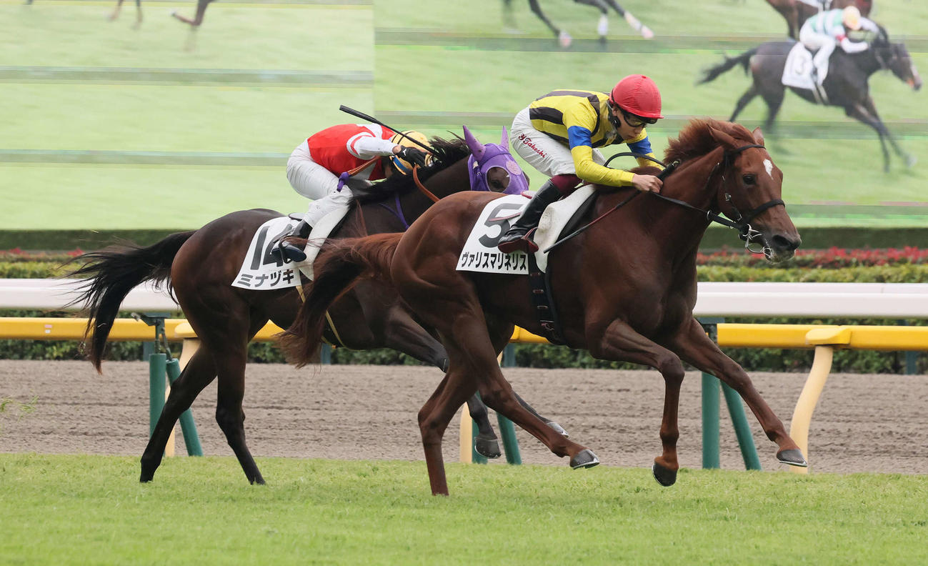 東京5R、2歳新馬戦を制したヴァリスマリネリスと横山武騎手（撮影・丹羽敏通）