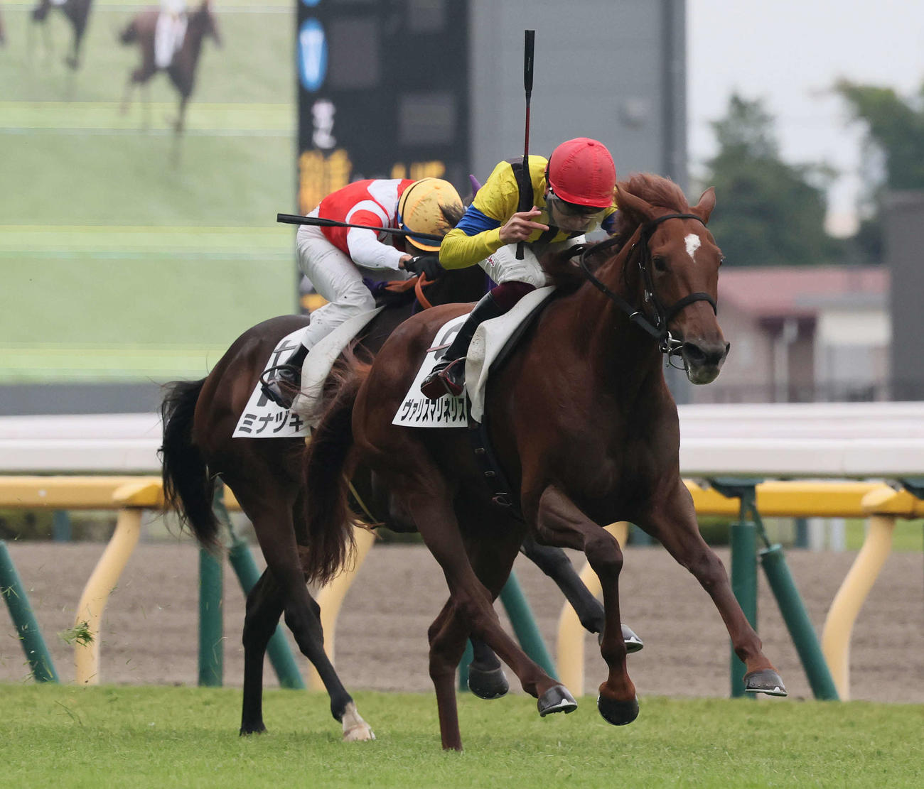 東京5R、2歳新馬戦を制したヴァリスマリネリスと横山武騎手（撮影・丹羽敏通）
