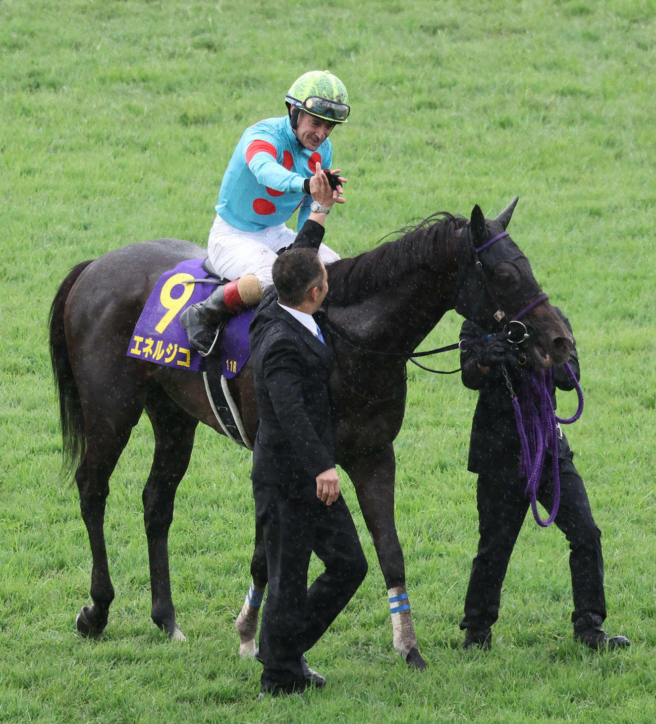 京都11R　エネルジコで菊花賞3連覇のルメール騎手は厩舎関係者とハイタッチ（撮影・西尾就之）