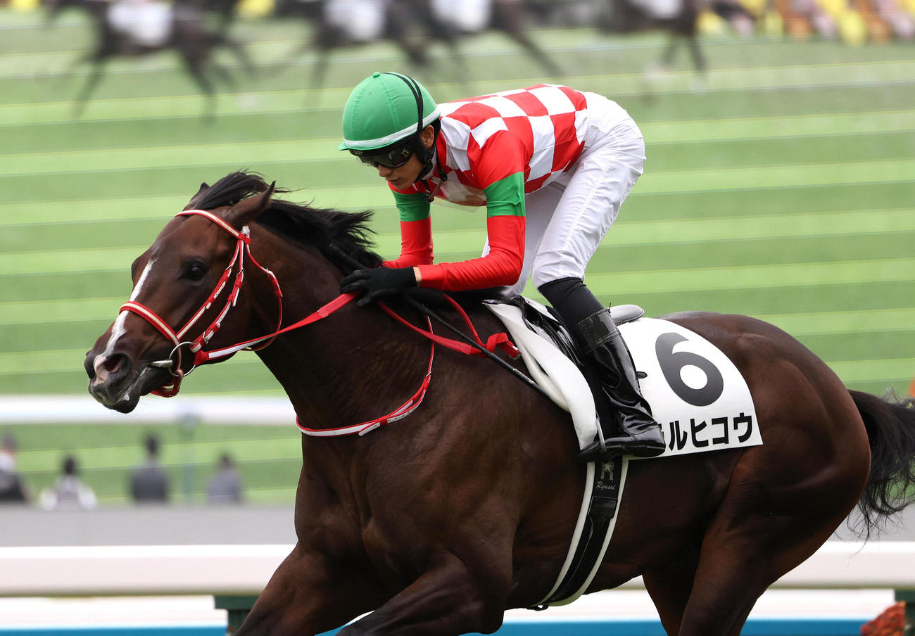 逃げ切って新馬戦を制したテルヒコウ（撮影・白石智彦）