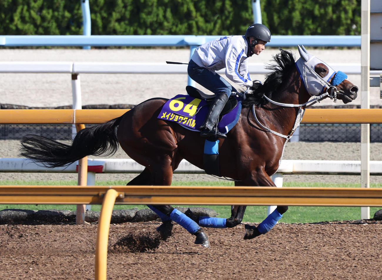 1週前追い切りで猛時計を出したメイショウタバル