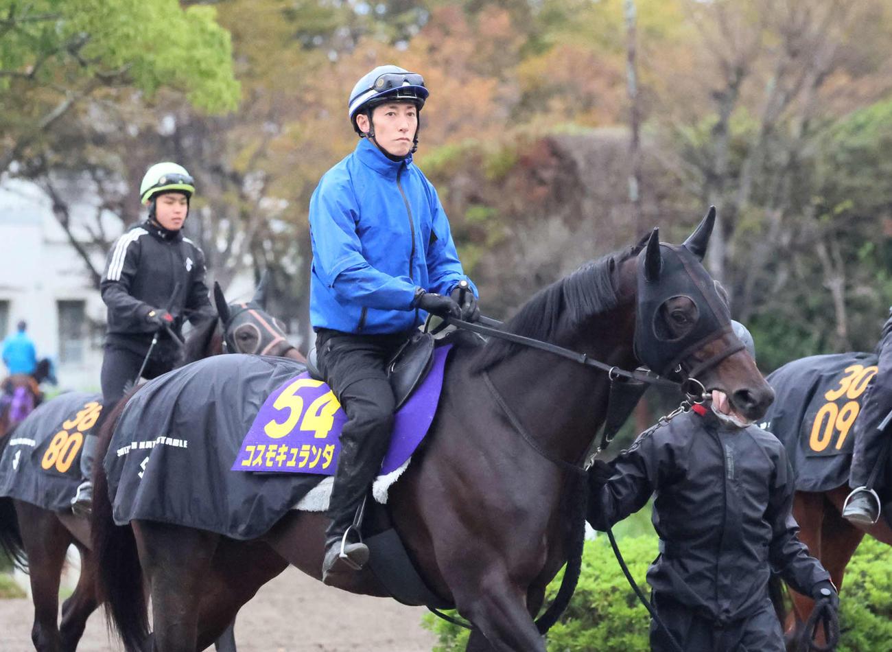 コスモキュランダと津村騎手（2025年10月22日撮影）