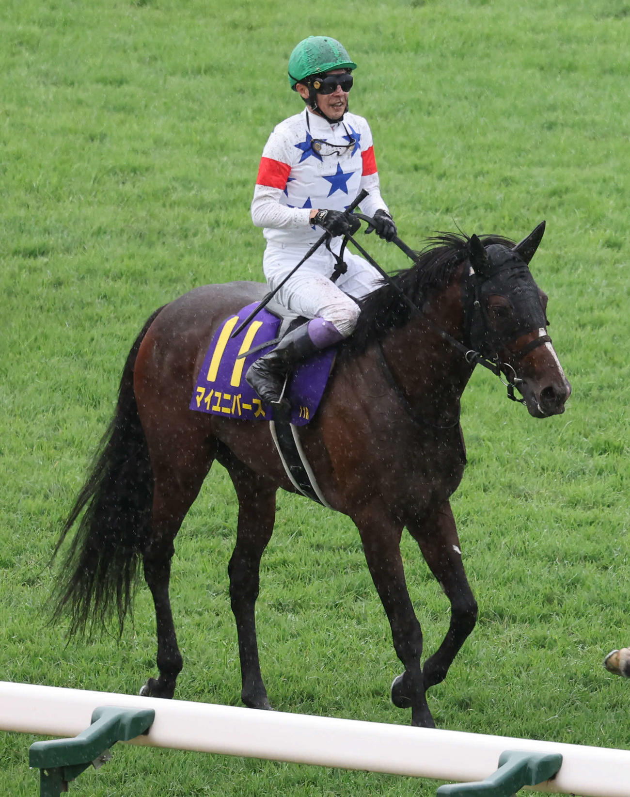 菊花賞13着に敗れたマイユニバースと武豊騎手（撮影・西尾就之）