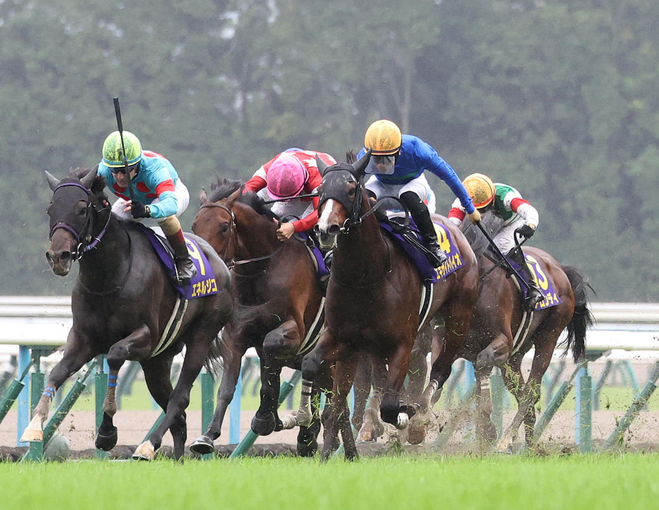 菊花賞3着に入ったエキサイトバイオ（右）。左は勝ったエネルジコ（撮影・白石智彦）
