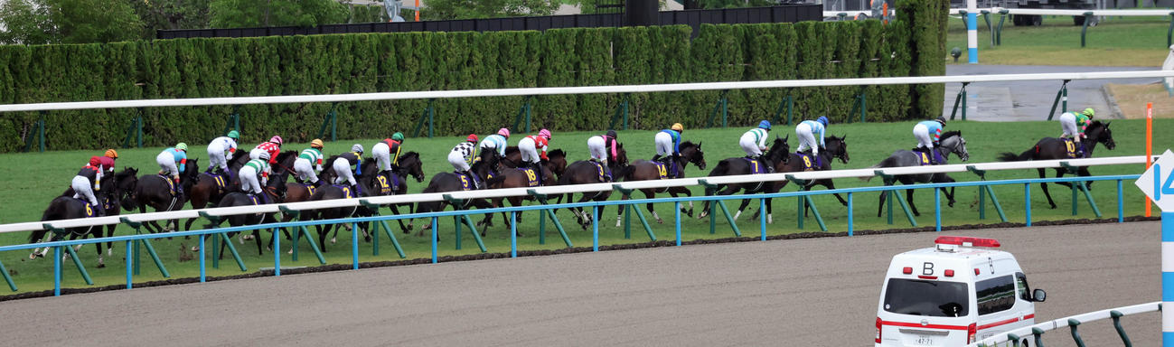 1角では後ろから5頭目の位置のマイユニバース