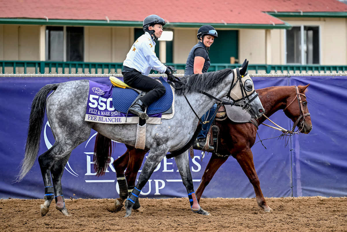 25日朝のフェブランシェと吉原騎手（C）Carlos J. Calo／Eclipse Sportswire／Breeders Cup