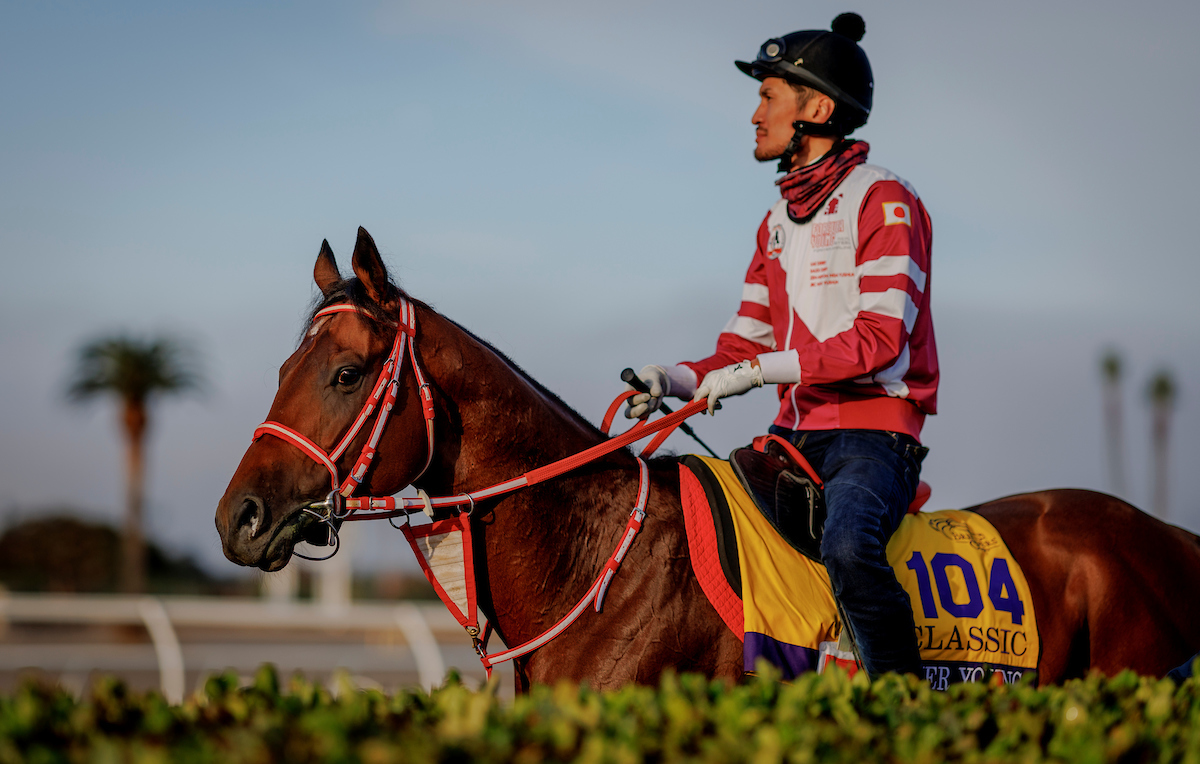 26日、調整するフォーエバーヤング（C）{Evers}／Eclipse Sportswire／Breeders Cup