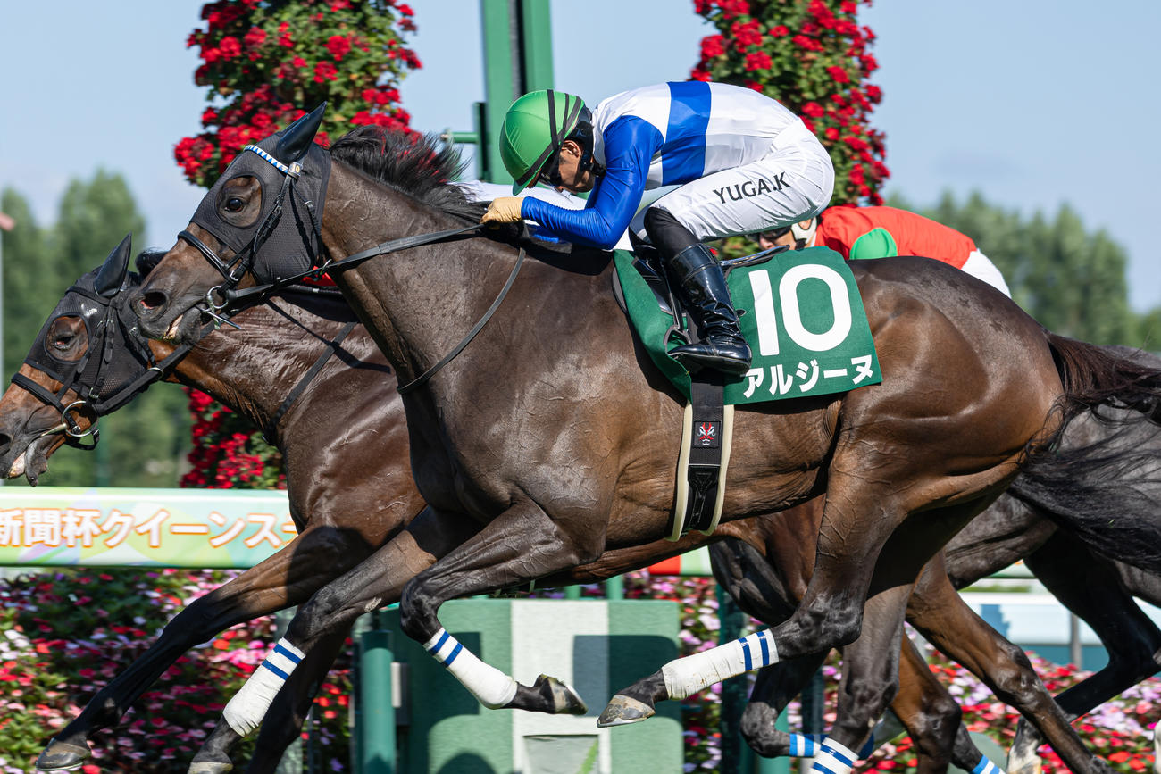 クイーンSを制したアルジーヌ（2025年8月3日撮影）