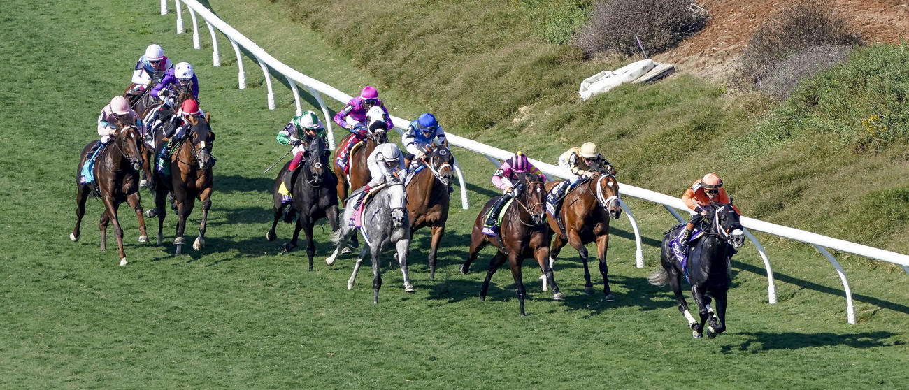 インビンシブルパパは6着（右から3頭目）（C）Jetta　Vaughns／Eclipse　Sportswire／Breeders　Cup
