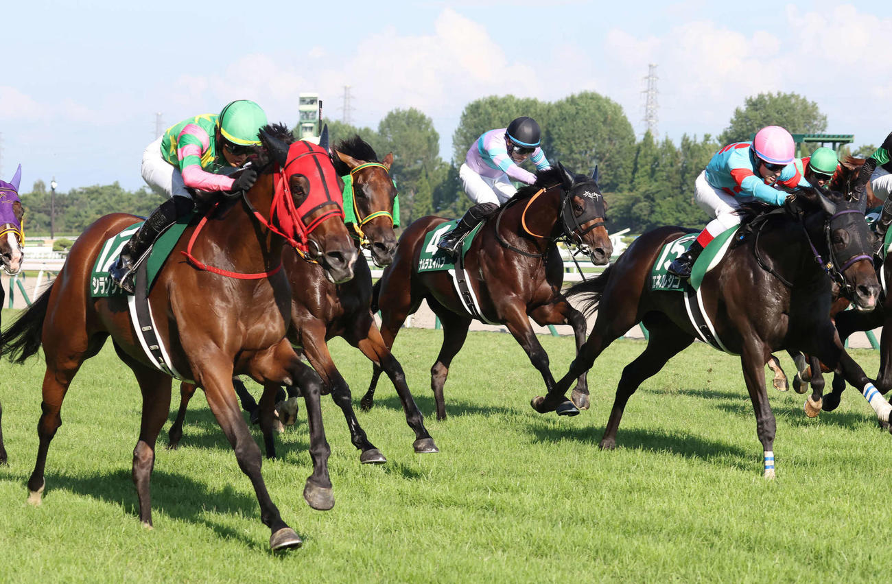 天皇賞・秋】怖いぞ！“菊花賞馬エネルジコを唯一破った馬”シランケド