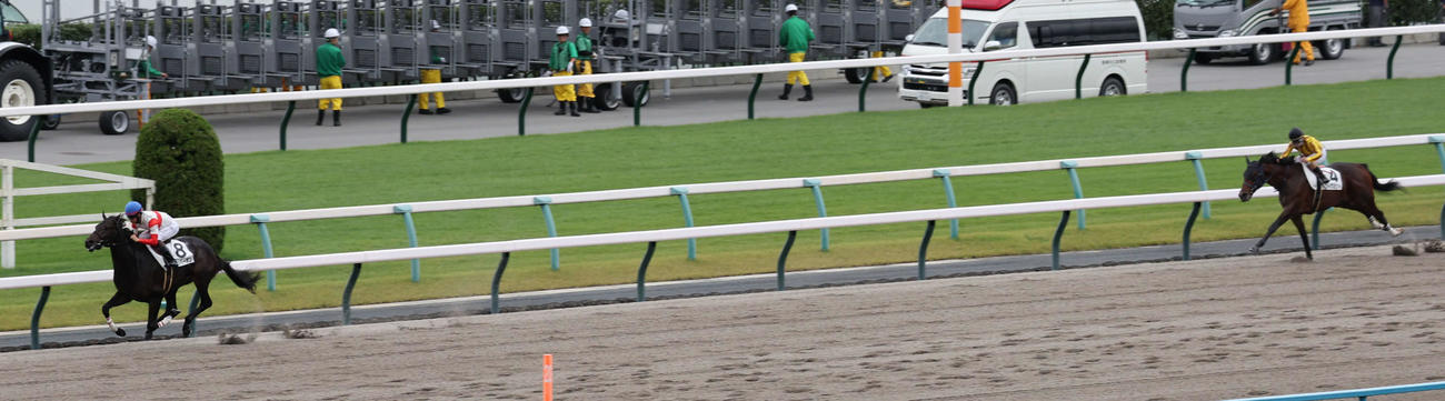 京都4R、2歳新馬戦は松山騎手のダノンバーボンが後続を引き離し逃げ切り勝ちを収めた（撮影・西尾就之）