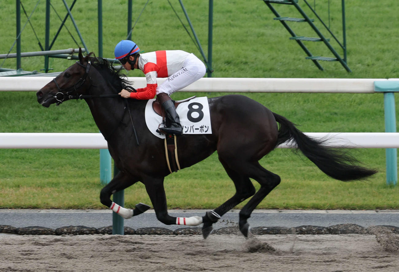 京都4R、2歳新馬戦は松山騎手のダノンバーボンが後続を引き離し逃げ切り勝ちを収めた（撮影・西尾就之）