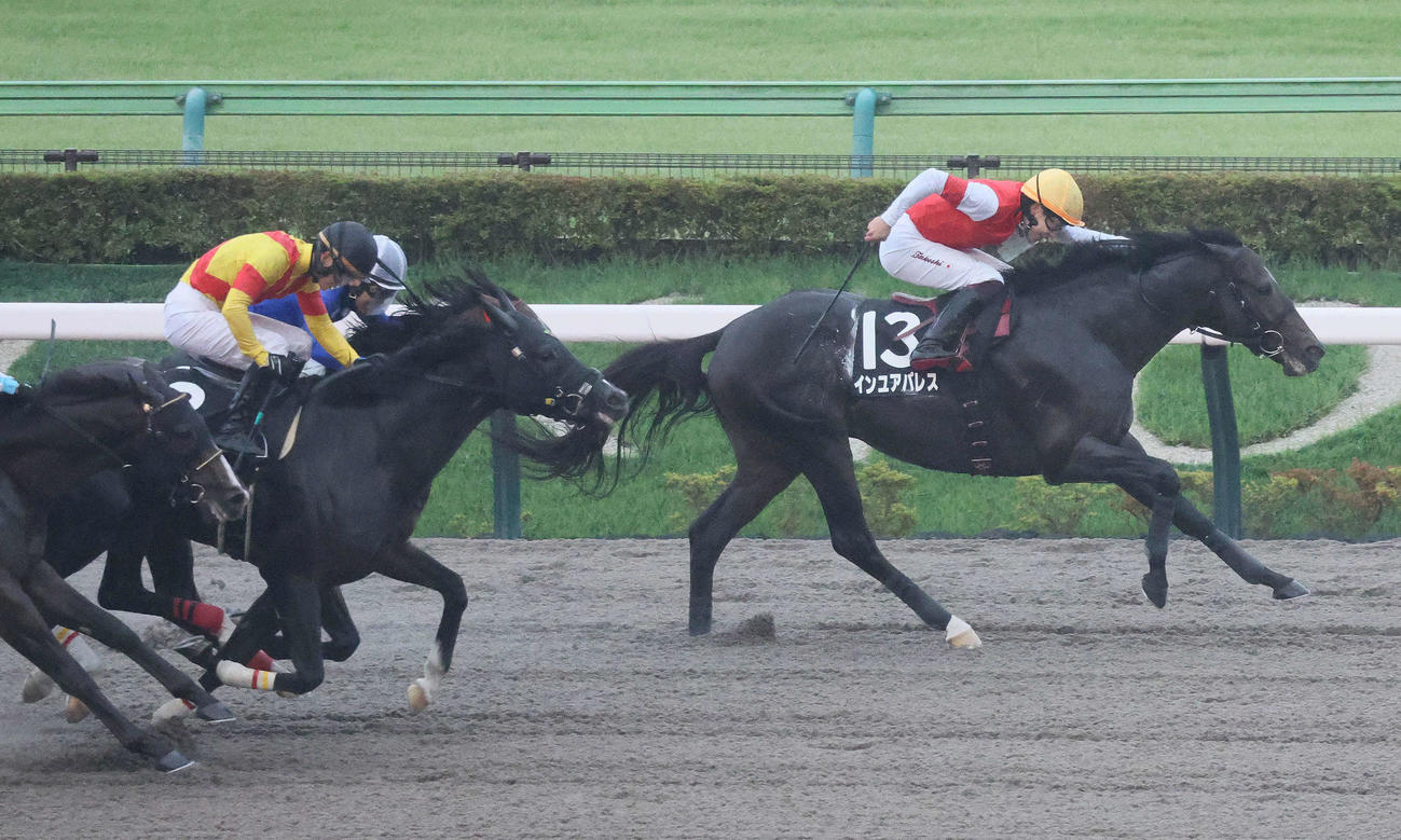 東京11R、神無月Sを制したインユアパレスと横山武騎手（撮影・丹羽敏通）