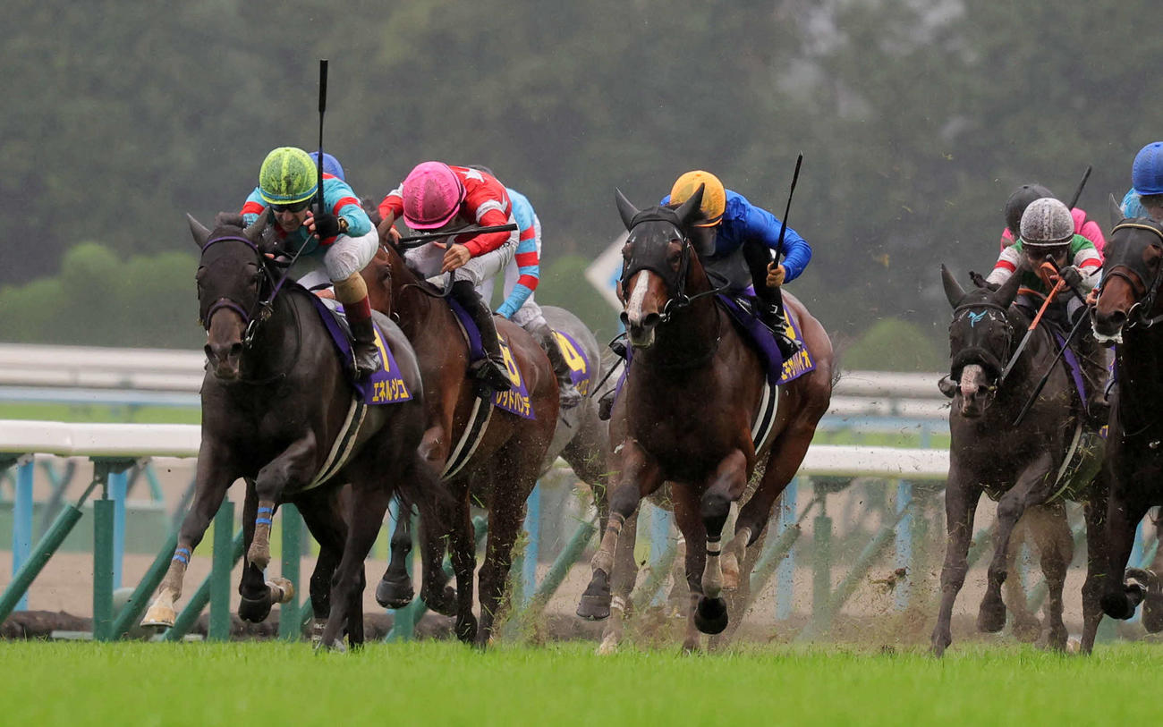 京都11R、菊花賞を制したエネルジコ（左）（撮影・宮崎幸一）