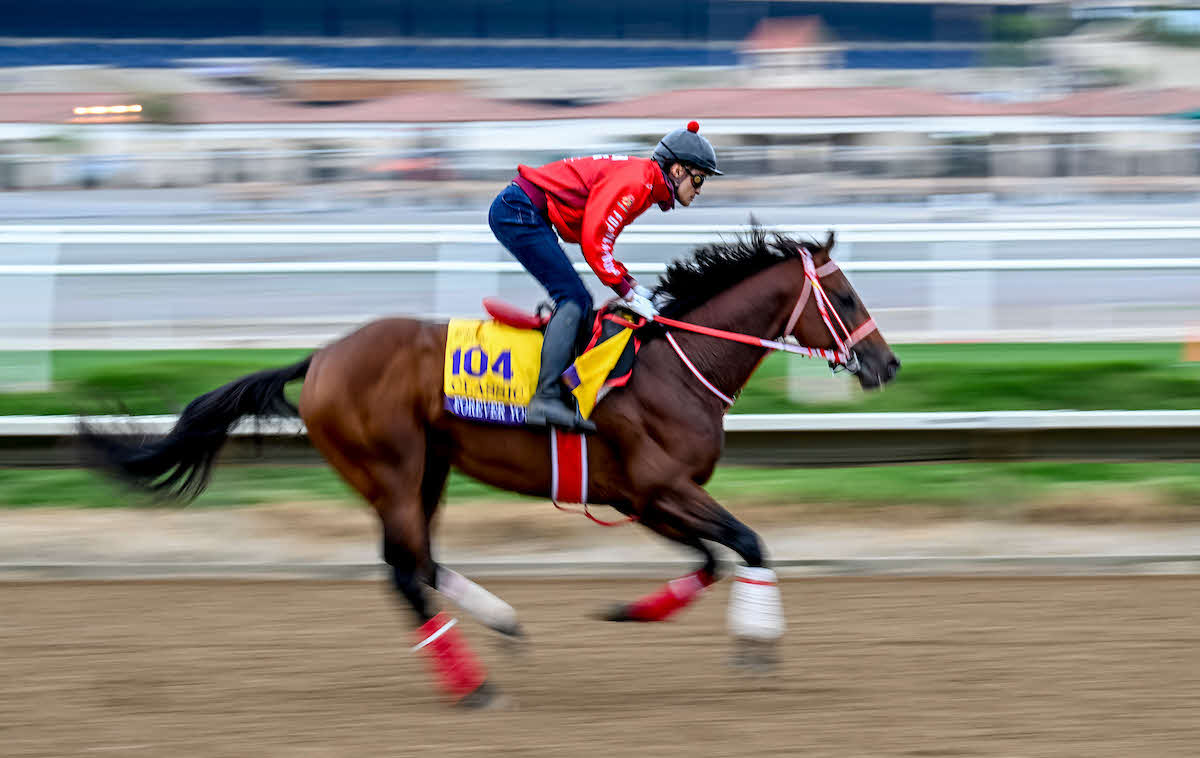 26日朝のフォーエバーヤングと荒木助手（C）Carlos J. Calo／Eclipse Sportswire／Breeders Cup