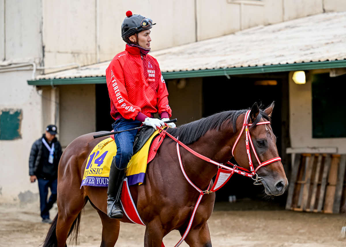 26日朝のフォーエバーヤングと荒木助手（C）Carlos J. Calo／Eclipse Sportswire／Breeders Cup