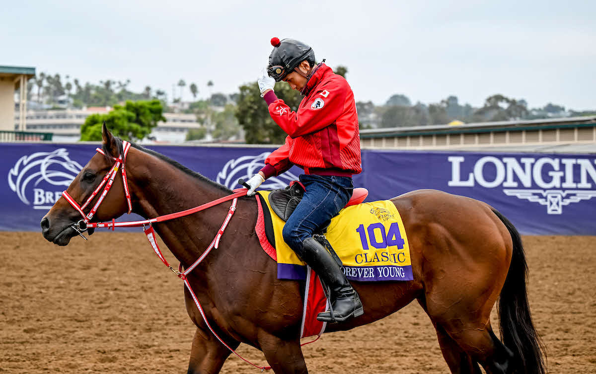 26日朝のフォーエバーヤングと荒木助手（C）Carlos J. Calo／Eclipse Sportswire／Breeders Cup