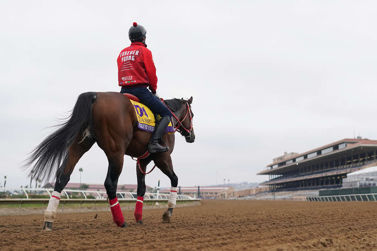 26日朝のフォーエバーヤング（C）Scott Serio／Eclipse Sportswire／Breeders Cup